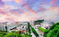 我们研发运用生物酶技术减少食用油中的甘油三