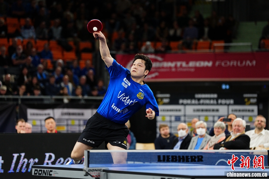 留洋首冠加冕MVP:樊振东在萨尔布吕肯夺得德国
