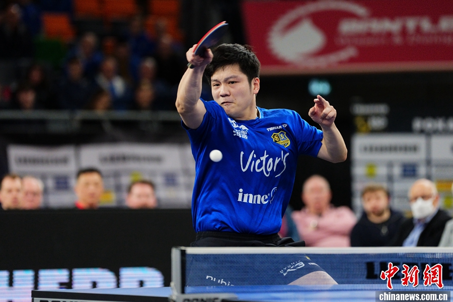 留洋首冠加冕MVP:樊振东在萨尔布吕肯夺得德国